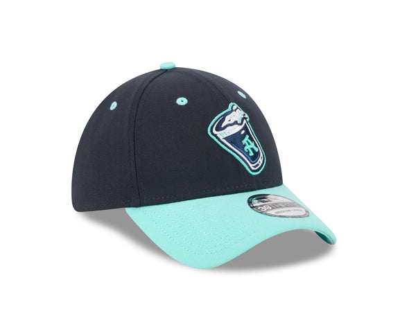 The Asheville Tourists 2025 Beer City 39Thirty New Era