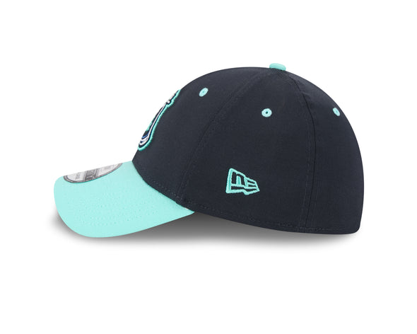 The Asheville Tourists 2025 Beer City 39Thirty New Era