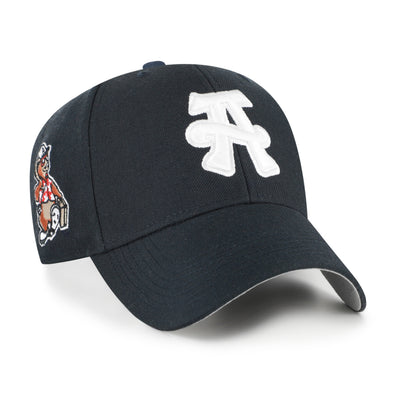 The Asheville Tourists '47 Sure Shot Ted E. MVP – Asheville